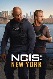 Póster de NCIS: New York
