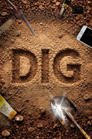 Póster de Dig