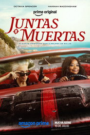Póster de Ride or Die